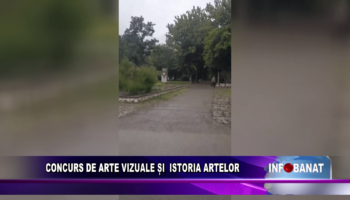 Concurs de Arte Vizuale și Istoria Artelor