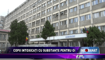 Copii intoxicați cu substanțe pentru oi