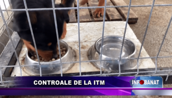 Controale de la ITM