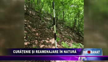 Curățenie și reamenajare în natură