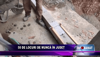 50 de locuri de muncă în județ