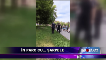 În parc cu…    șarpele