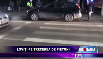 Loviți pe trecerea de pietoni