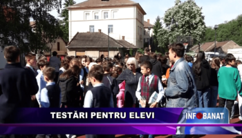 Testări pentru elevi