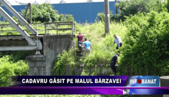 Cadavru găsit pe malul Bărzavei