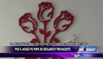 PSD îl acuză pe Popa de declarații pro-naziste