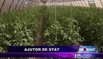 Ajutor de stat