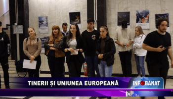 Tinerii și Uniunea Europeană