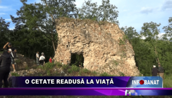 O cetate readusă la viață