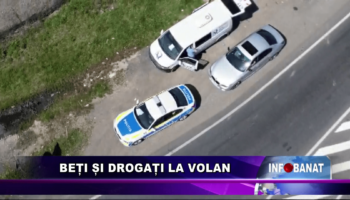 Beți și drogați la volan