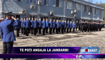 Te poți angaja la jandarmi