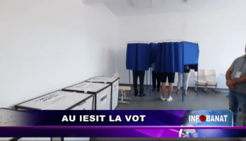 Au ieșit la vot