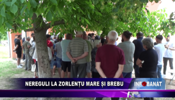 Nereguli la Zorlențu Mare și Brebu