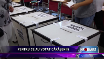 Pentru ce au votat cărășenii?