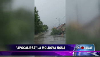 Apocalipsă la Moldova Nouă