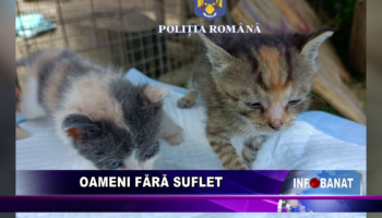 Oameni fără suflet