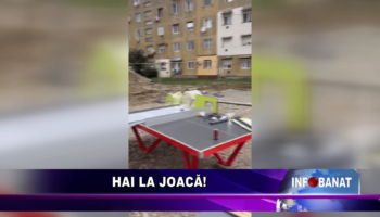 Hai la joacă