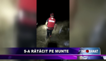 S-a rătăcit pe munte!