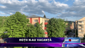 Hoții n-au vacanță