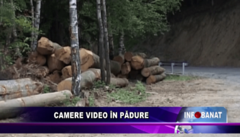 Camere video în pădure