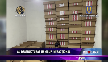 Au destructurat un grup infracțional