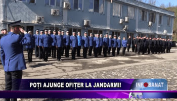 Poți ajunge ofițer la Jandarmi!