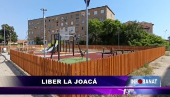 Liber la joacă