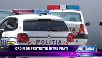 Ordin de protecție între frați