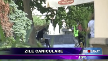 Zile caniculare