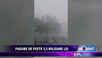 Pagube de peste 5,5 milioane de lei