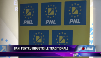 Bani pentru industriile tradiționale