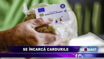 Se încarcă cardurile