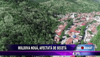 Moldova Nouă, afectată de secetă