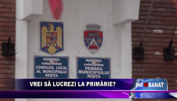 Vrei să lucrezi la Primărie ?