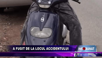 A fugit de la locul accidentului