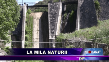 La mila naturii