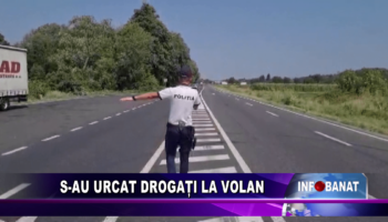 S-au urcat drogați la volan