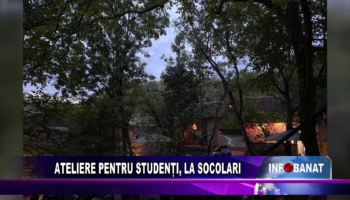 Ateliere pentru studenți, la Socolari