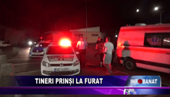 Tineri prinși la furat