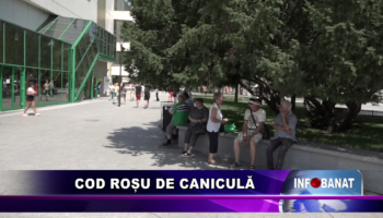 Cod roșu de caniculă