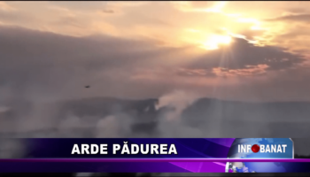 Arde pădurea