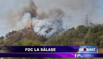 Foc la sălașe