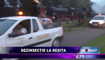 Dezinsecție la Reșița