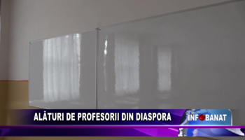 Alături de profesorii din Diaspora