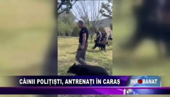 Câinii polițiști, antrenați în Caraș