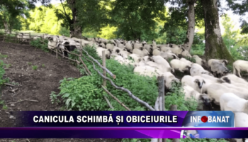 Canicula schimbă și obiceiurile