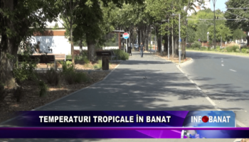 Temperaturi tropicale în Banat