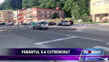 Pământul s-a cutremurat