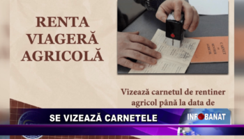 Se vizează carnetele