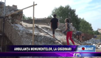 Ambulanța Monumentelor, la Grădinari